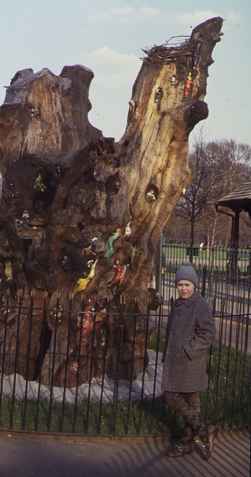 Elfin Oak Goedart Palm Kensington Gardens 