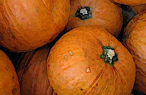 kürbiskopf
